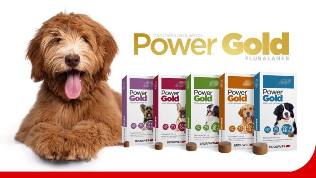 Powergold masticable para perros